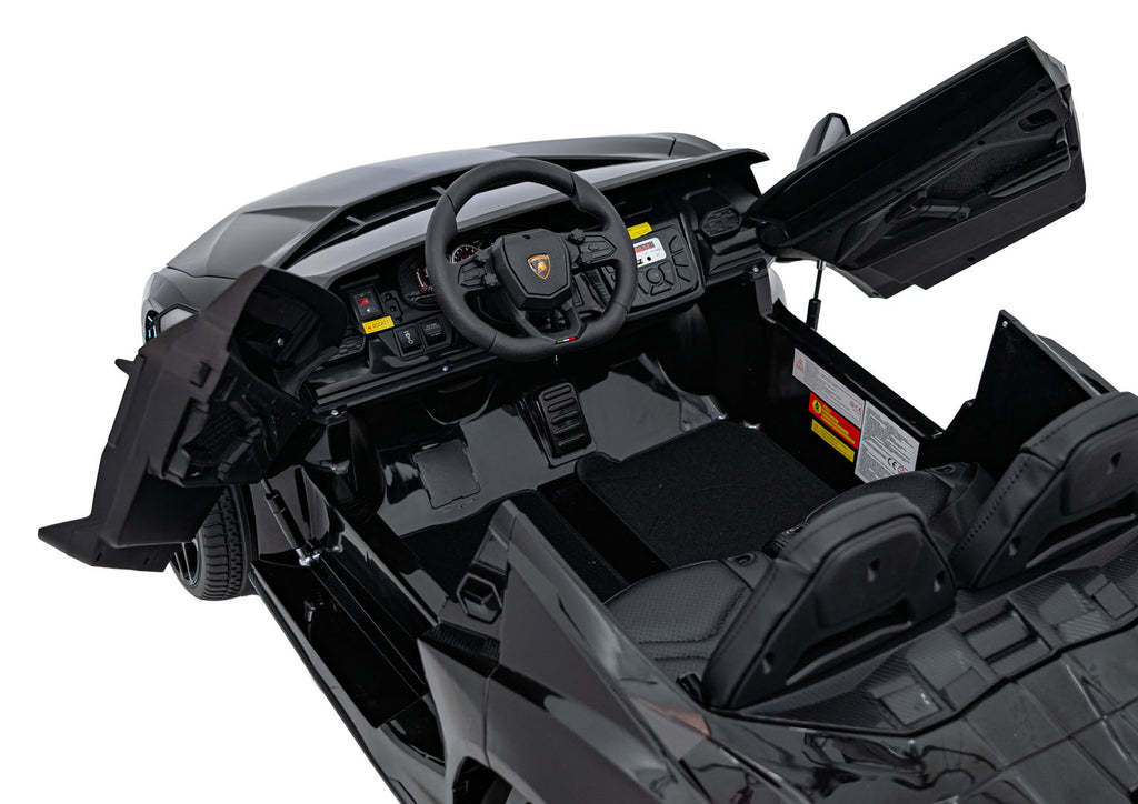Lamborghini Revuelto XL Black vehicle