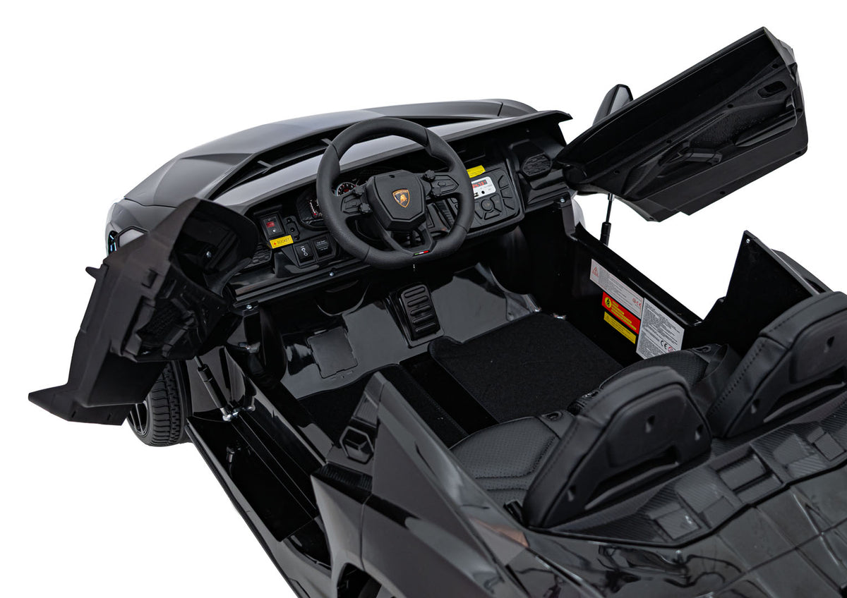 Lamborghini Revuelto XL Black vehicle