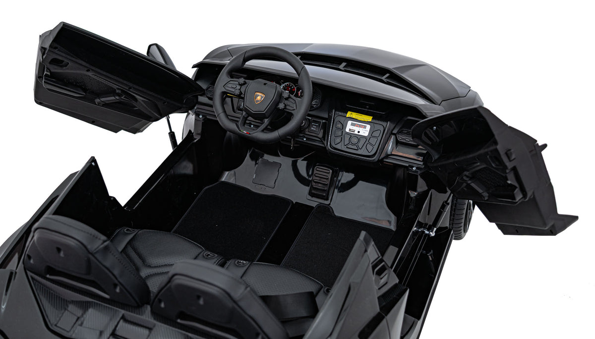 Lamborghini Revuelto XL Black vehicle