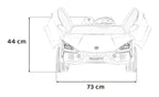 Lamborghini Revuelto XL Black vehicle