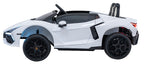 Lamborghini Revuelto XL White vehicle
