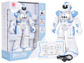 Multifunctional Robot SMART-BOT