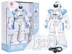 Multifunctional Robot SMART-BOT
