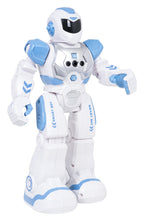 Multifunctional Robot SMART-BOT