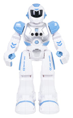 Multifunctional Robot SMART-BOT