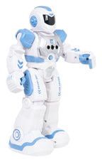 Multifunctional Robot SMART-BOT