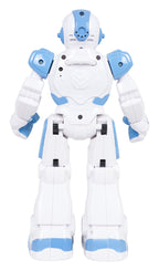 Multifunctional Robot SMART-BOT