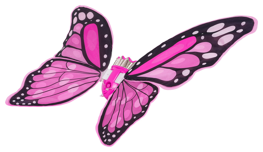 Butterfly Wings Set + Rainbow Dress