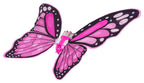 Butterfly Wings Set + Rainbow Dress
