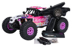 RC Crawler ALIKATA 1:12 Purple