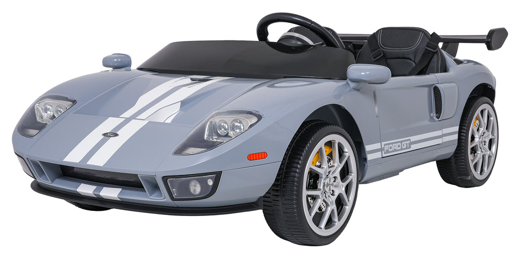 Vehicle Ford GT Gray