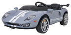 Vehicle Ford GT Gray