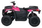 WOLF Pink 4x4 ATV Quad Vehicle