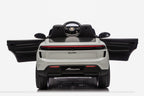 Vehicle Porsche Macan Gray