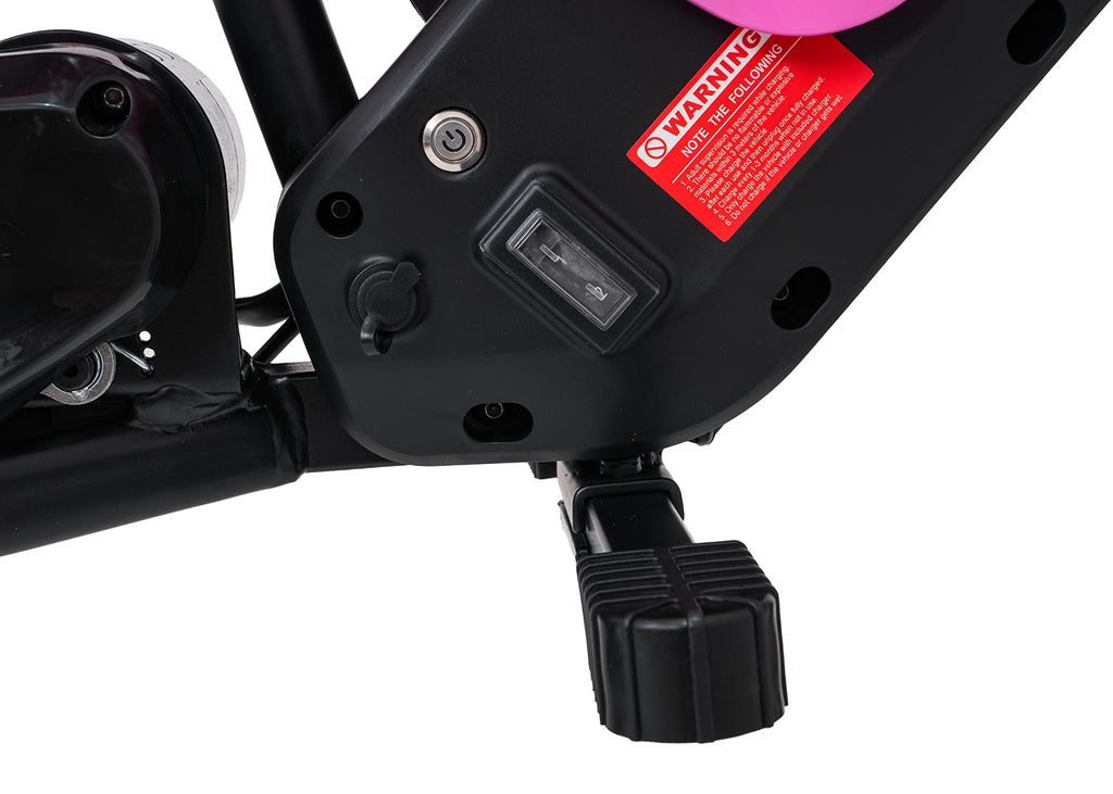 Electric Motor Vehicle SHARK Pink