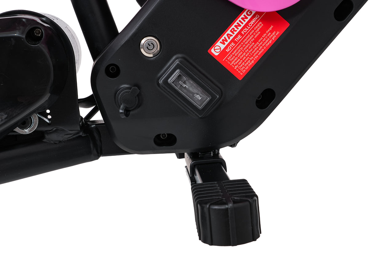 Electric Motor Vehicle SHARK Pink