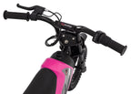 Electric Motor Vehicle SHARK Pink