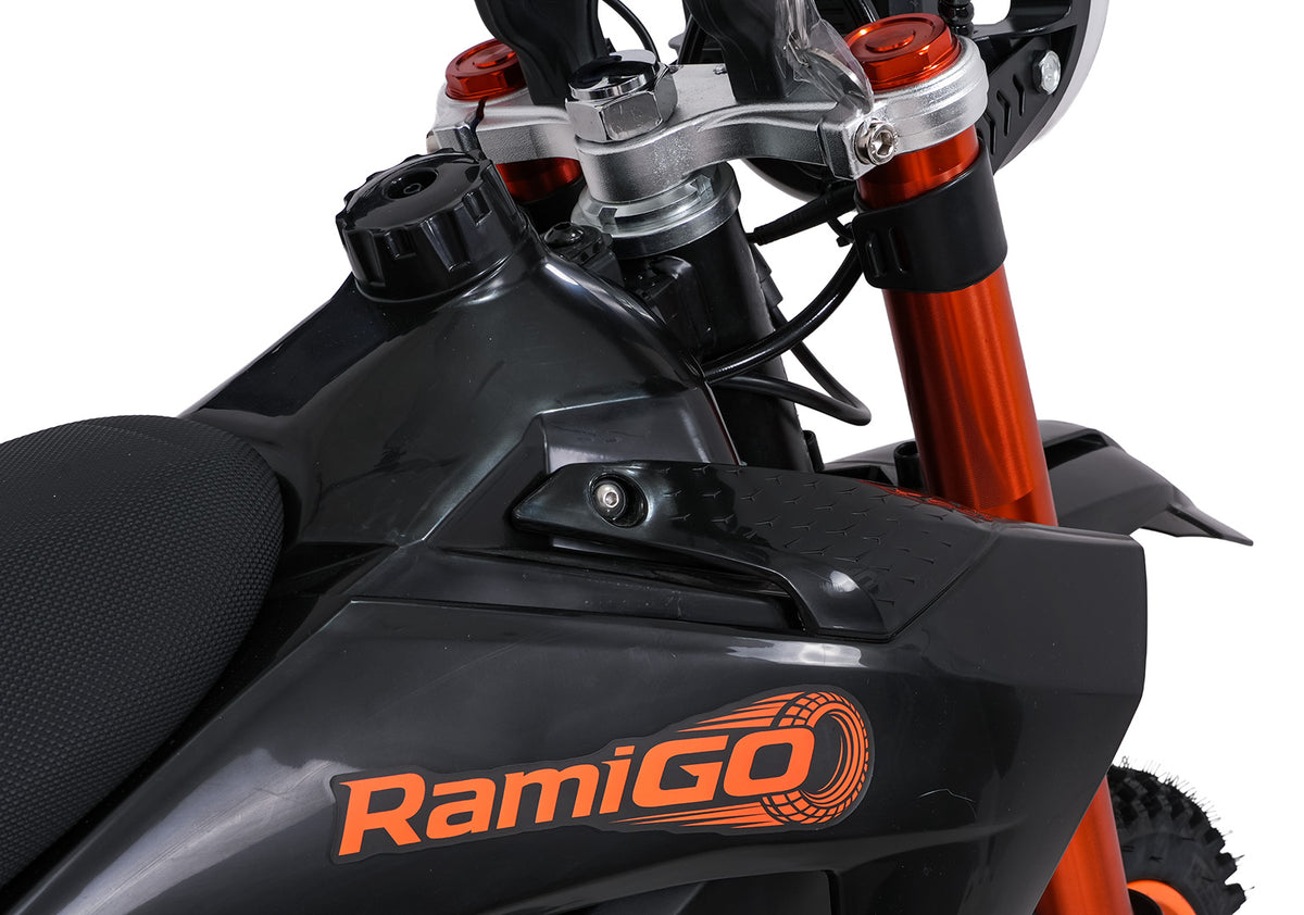 Electric Motor Vehicle E-RIDER X Black