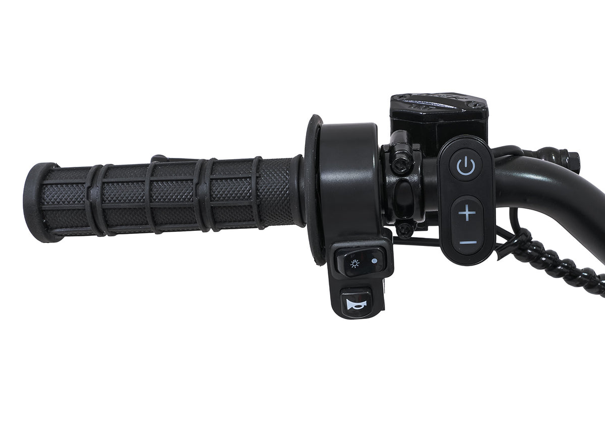 Electric Motor Vehicle E-RIDER X Black