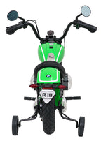 Vehicle Motor BMW R18 Green
