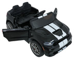 Vehicle Dodge Durango Black