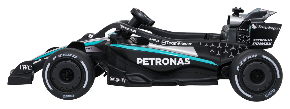 Vehicle AMG PETRONAS F1 Black Racing Car