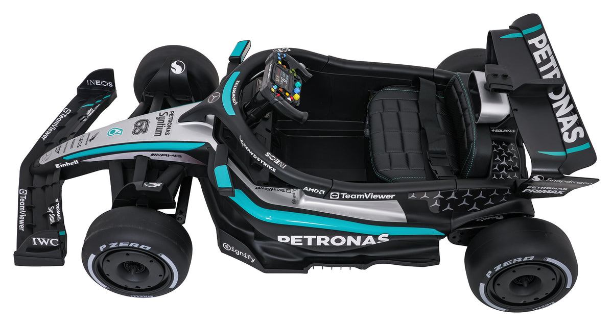 Vehicle AMG PETRONAS F1 Black Racing Car