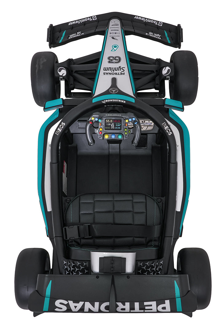 Vehicle AMG PETRONAS F1 Black Racing Car