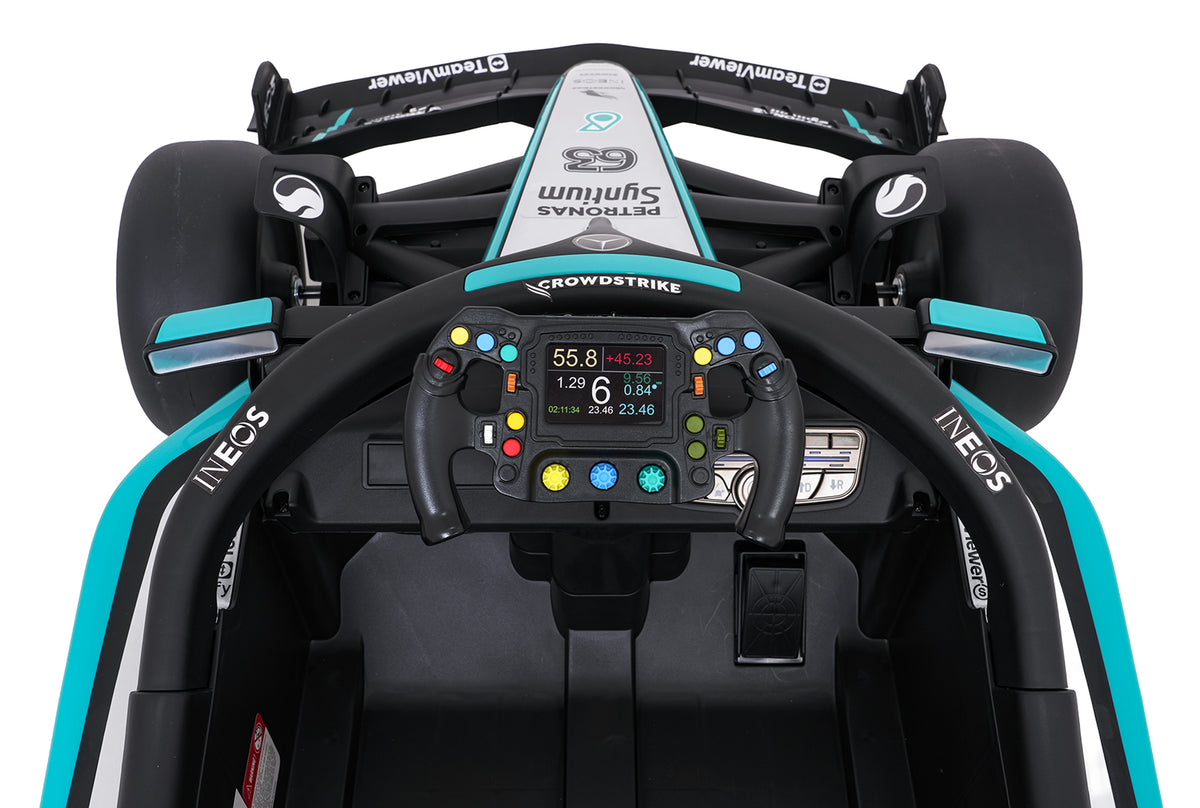 Vehicle AMG PETRONAS F1 Black Racing Car