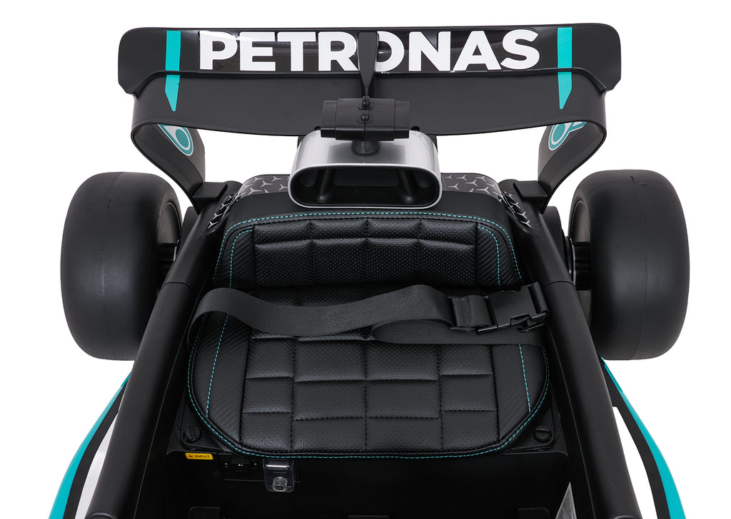 Vehicle AMG PETRONAS F1 Black Racing Car