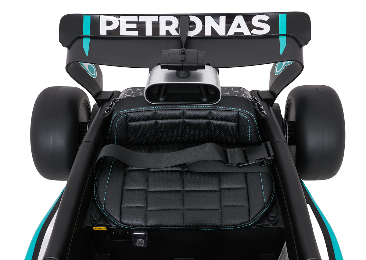 Vehicle AMG PETRONAS F1 Black Racing Car