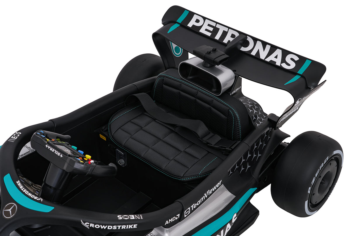 Vehicle AMG PETRONAS F1 Black Racing Car