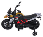 Vehicle Motor BMW G310GS Champagne