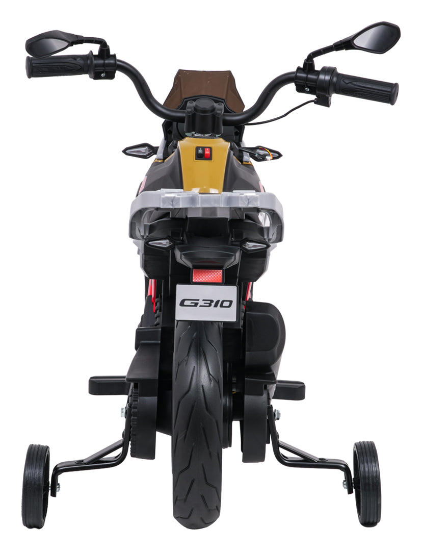 Vehicle Motor BMW G310GS Champagne