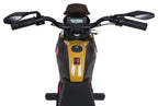 Vehicle Motor BMW G310GS Champagne