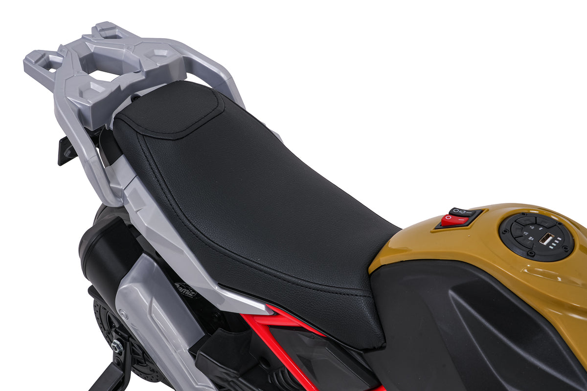 Vehicle Motor BMW G310GS Champagne