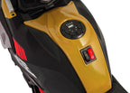 Vehicle Motor BMW G310GS Champagne