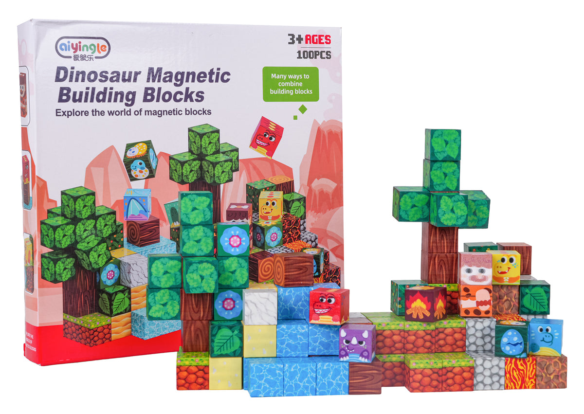 Set of Magnetic Bricks 100el.