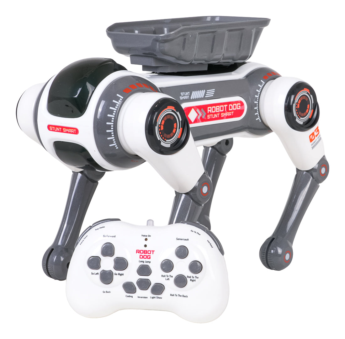 R/C robot AIDOG with lights function