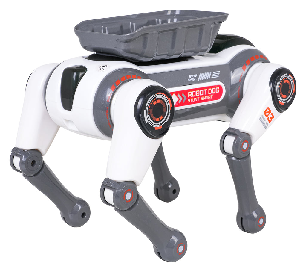 R/C robot AIDOG with lights function