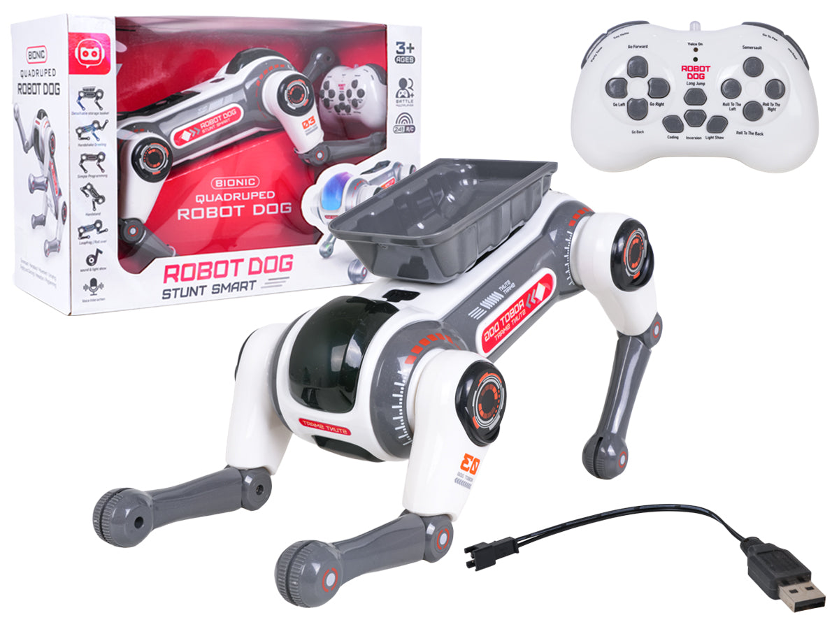 R/C robot AIDOG with lights function
